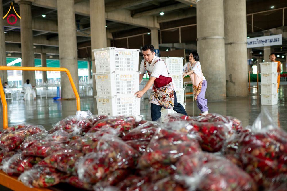 ภาพ No.279431:วันที่ 19-26 ธันวาคม พ.ศ. 2568 และ วันที่ 1 มกราคม พ.ศ.2569 รับบุญปลิดกลีบดอกไม้ เพื่อโปรยต้อนรับพระธรรมยาตรา