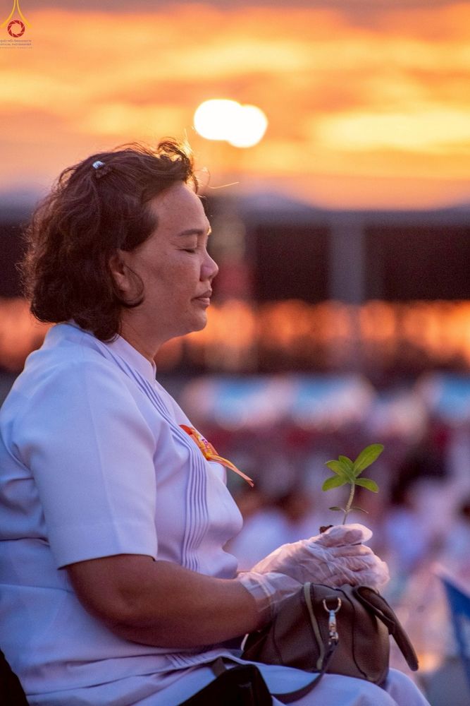 ภาพ No.253003:วันที่ 10 ตุลาคม พ.ศ. 2568 พิธีปลูกต้นทรัพย์บานชื่น ณ ลานธรรม วัดพระธรรมกาย