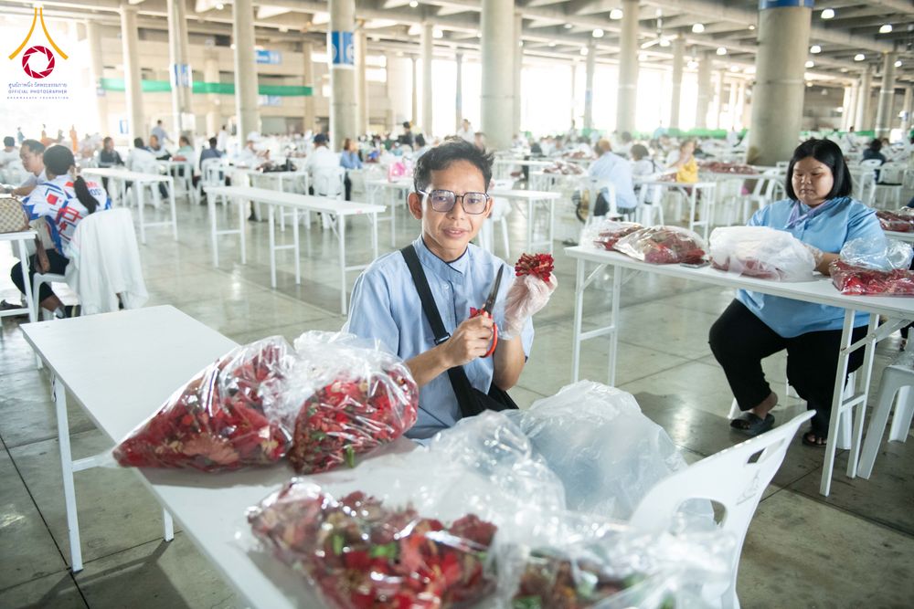 ภาพ No.279469:วันที่ 19-26 ธันวาคม พ.ศ. 2568 และ วันที่ 1 มกราคม พ.ศ.2569 รับบุญปลิดกลีบดอกไม้ เพื่อโปรยต้อนรับพระธรรมยาตรา