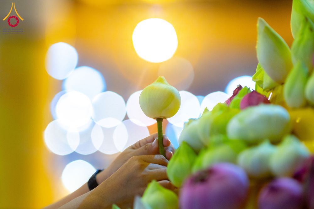 ภาพ No.286782:วันอาสาฬหบูชา วันพฤหัสบดีที่ 10 กรกฏาคม พ.ศ.2568  พิธีเวียนประทักษิณรอบพระมหาธรรมกายเจดีย์ , พิธีฉลองชัยสวดมนต์บทธัมมจักกัปปวัตตนสูตร ครบ 7,520,000,000 จบ ณ มหารัตนวิหารคด วัดพระธรรมกาย