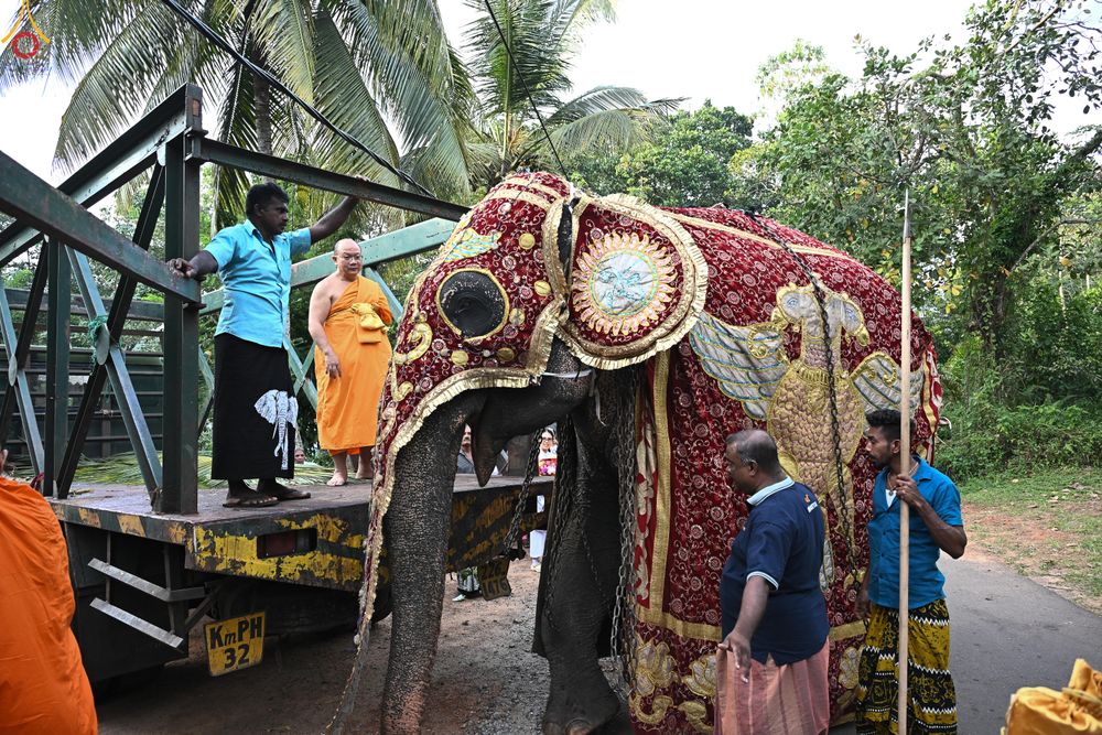 ภาพ No.278850:วันที่ 1 พฤศจิกายน  2568 กฐินสมทบวัดต่างประเทศ โดยคณะศิษยานุศิษย์ บูชาธรรม 81 ปี หลวงพ่อธัมมชโย กฐินช้างศรีลังกา  ณ วัดสุวรรณวิหาร เขตอาวิซาเวรี ประเทศศรีลังกา