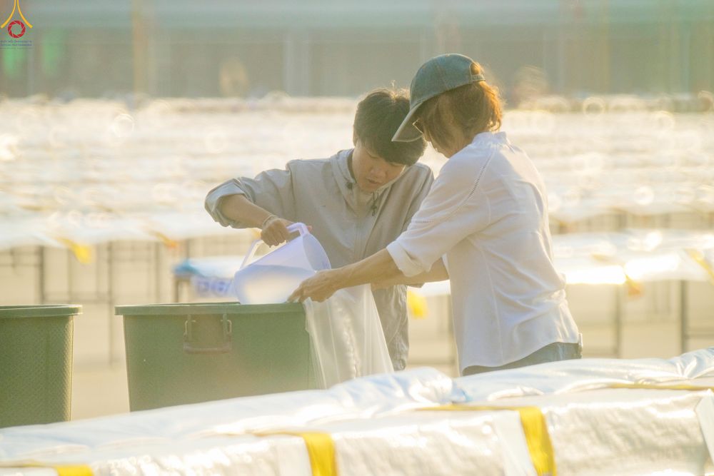 ภาพ No.321555:วันที่ 9-10 เมษายน พ.ศ.2569 การเตรียมงาน มัดถุงน้ำ ถ่วงขาโต๊ะไทยธรรม เพื่องานถวายมหาสังฆทาน 40,000 กว่าวัดทั่วประเทศ วันคุ้มครองโลก 22 เมษายน พ.ศ.2569 วัดพระธรรมกาย