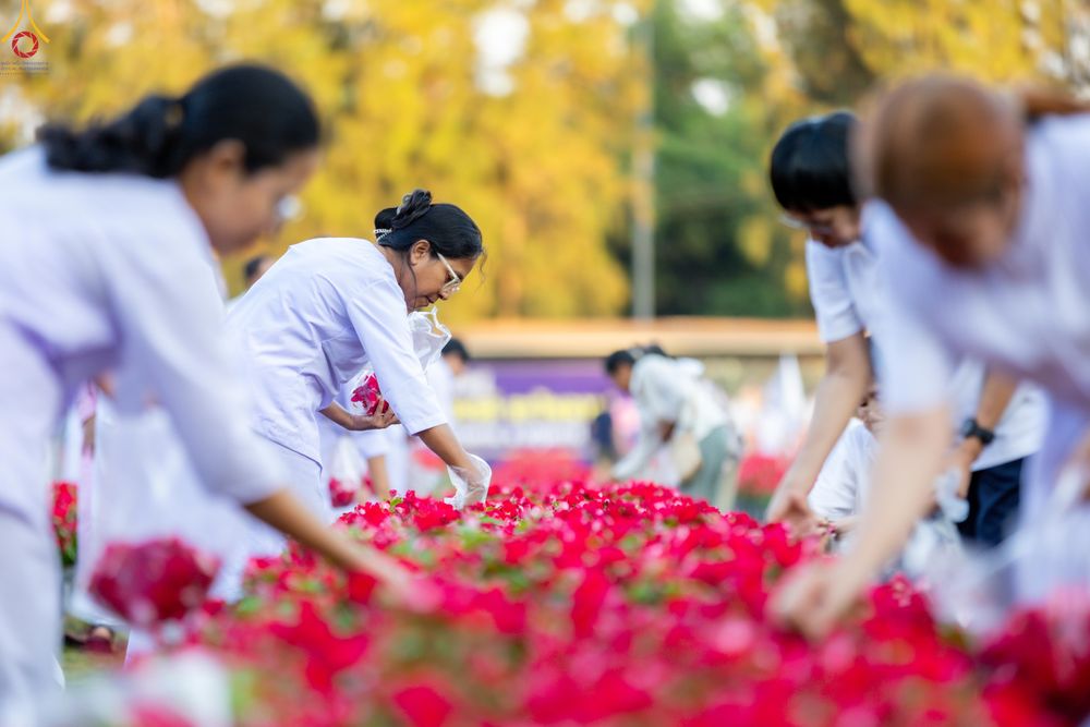 ภาพ No.280995:วันที่ 28 ธันวาคม พ.ศ.2568 กิจกรรมเก็บดอกแพงรวย ณ ทุ่งสวรรค์ตะวันฉาย วัดพระธรรมกาย