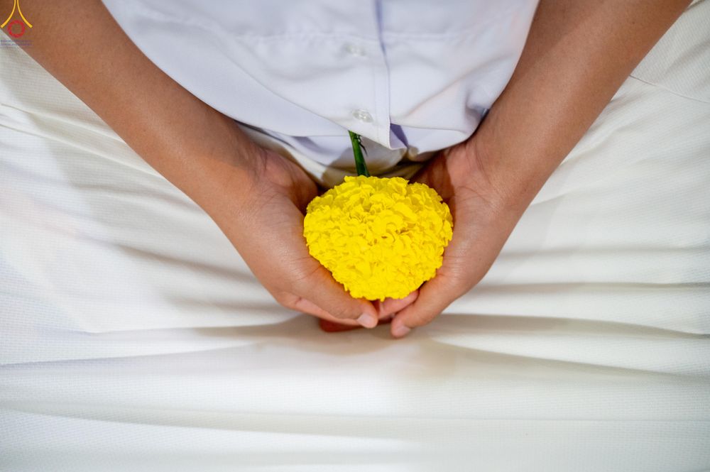 ภาพ No.280387:วันที่ 31 ธันวาคม พ.ศ.2568 -วันที่ 1 มกราคม พ.ศ.2569 พิธีฉลองชัยสวดมนต์บทธัมมจักกับปปวัตนสูตร ครบ 8,000,000,000 จบ , พิธีสวดมนต์ข้ามปี ณ วัดพระธรรมกาย