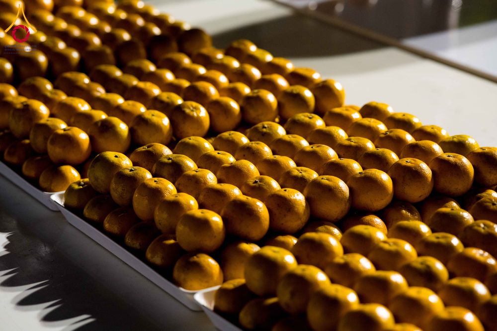 ภาพ No.294758:วันที่ 15 มกราคม พ.ศ. 2569 พิธีถวายภัตตาหารเป็นสังฆทาน แด่พระธรรมยาตรา ณ วัดโบสถ์บน ต.บางคูเวียง จ.นนทบุรี อนุสรณ์สถานลำดับที่ 4 สถานที่เกิดด้วยกายธรรม ในโครงการธรรมยาตรา กตัญญูบูชา มหาปูชนียาจารย์ พระมงคลเทพมุนี(สด จนฺทสโร) พระผู้ปราบมาร อนุสรณ์สถาน 7 แ