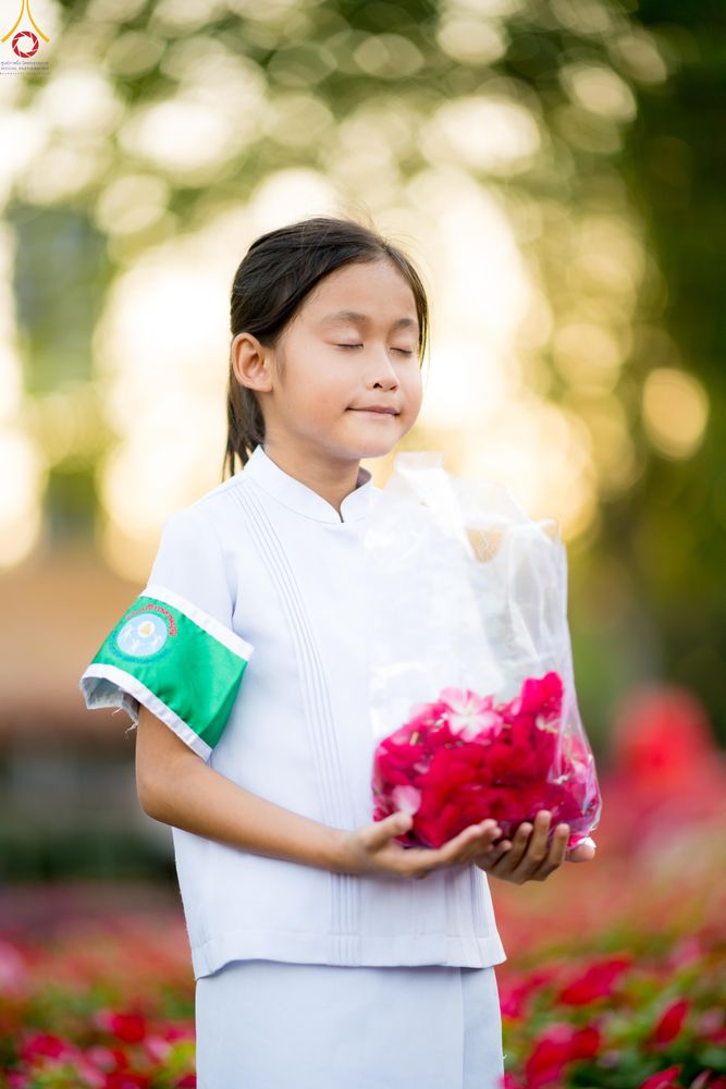 ภาพ No.281038:วันที่ 28 ธันวาคม พ.ศ.2568 กิจกรรมเก็บดอกแพงรวย ณ ทุ่งสวรรค์ตะวันฉาย วัดพระธรรมกาย