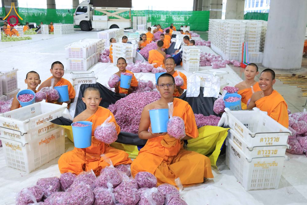 ภาพ No.303247:วันที่ 15-21 มกราคม พ.ศ.2569 ปลิดกลีบดอกเบญจทรัพย์ เพื่อโปรยต้อนรับพระธรรมยาตรา ในโครงการธรรมยาตรา กตัญญูบูชา มหาปูชนียาจารย์ พระมงคลเทพมุนี(สด จนฺทสโร) พระผู้ปราบมาร อนุสรณ์สถาน 7 แห่ง ปีที่ 14 ณ วิหารคด วัดพระธรรมกาย