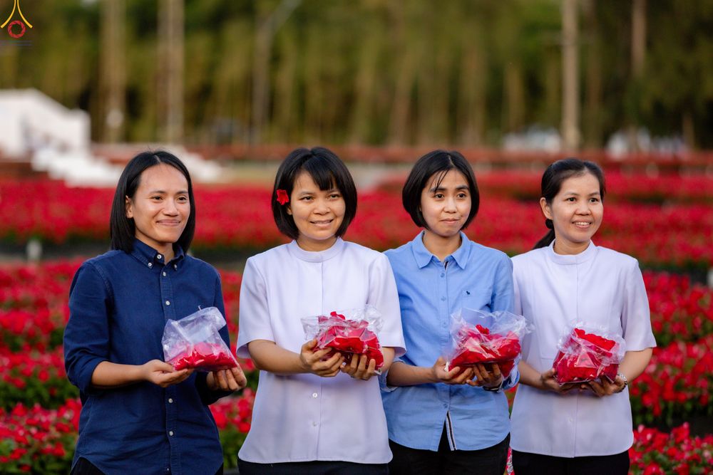 ภาพ No.281048:วันที่ 28 ธันวาคม พ.ศ.2568 กิจกรรมเก็บดอกแพงรวย ณ ทุ่งสวรรค์ตะวันฉาย วัดพระธรรมกาย