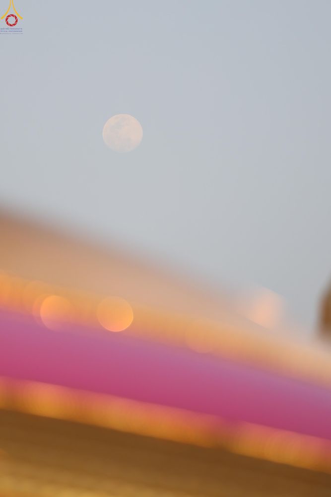 ภาพ No.307673:วันที่ 31 มกราคม พ.ศ. 2569 พิธีจุดประทีปธรรมถวายเป็นพุทธบูชา  และบูชาธรรมมหาปูชนียาจารย์ (ภาพชุดที่ 2) ณ วัดพระธรรมกาย ปทุมธานี ในโครงการธรรมยาตรา กตัญญูบูชา มหาปูชนียาจารย์ พระมงคลเทพมุนี(สด จนฺทสโร) พระผู้ปราบมาร อนุสรณ์สถาน 7 แห่ง ปีที่ 14