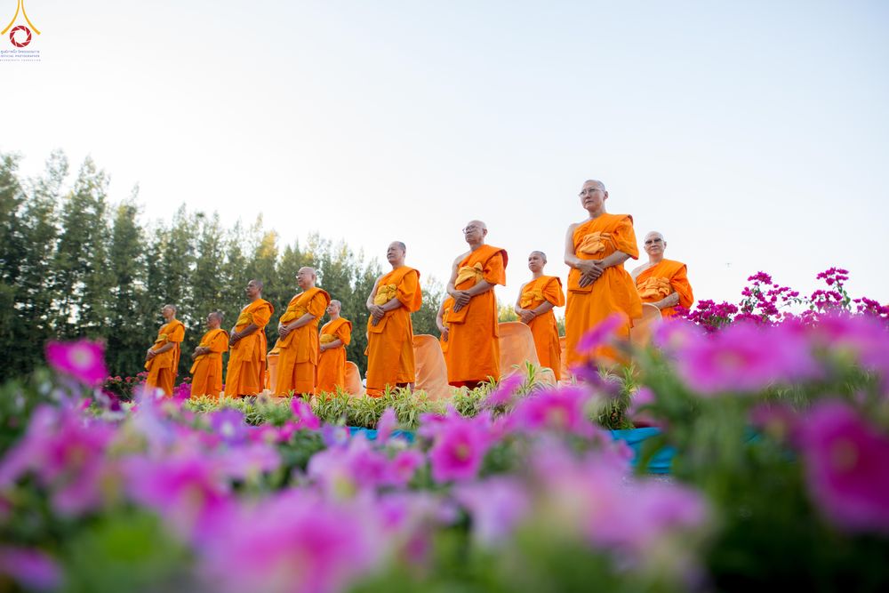 ภาพ No.280955:วันที่ 28 ธันวาคม พ.ศ.2568 กิจกรรมเก็บดอกแพงรวย ณ ทุ่งสวรรค์ตะวันฉาย วัดพระธรรมกาย