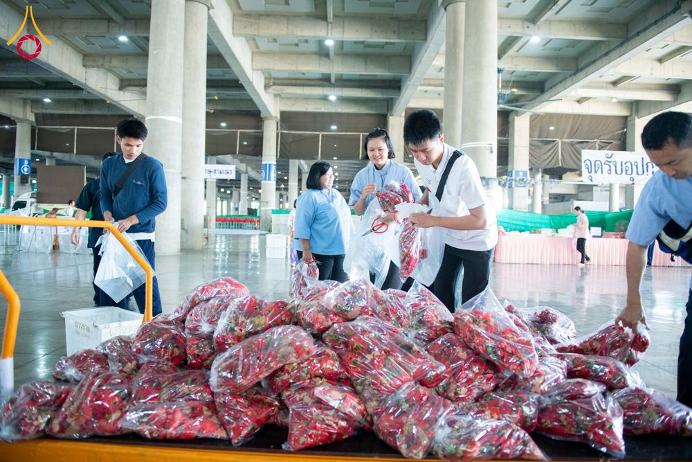 ภาพ No.279510:วันที่ 19-26 ธันวาคม พ.ศ. 2568 และ วันที่ 1 มกราคม พ.ศ.2569 รับบุญปลิดกลีบดอกไม้ เพื่อโปรยต้อนรับพระธรรมยาตรา