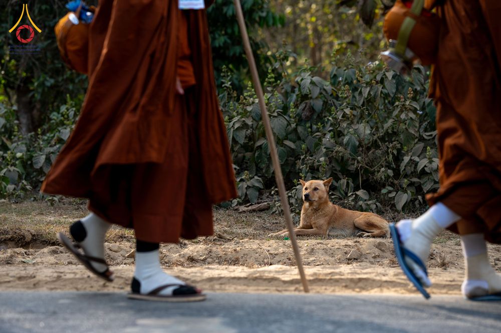 ภาพ No.309951:วันที่ 3-8 กุมภาพันธ์ พ.ศ. 2569 ธรรมยาตราบังกลาเทศ (Rajban Vihar - Khagrachri) ณ ประเทศบังกลาเทศ (Bangladesh)