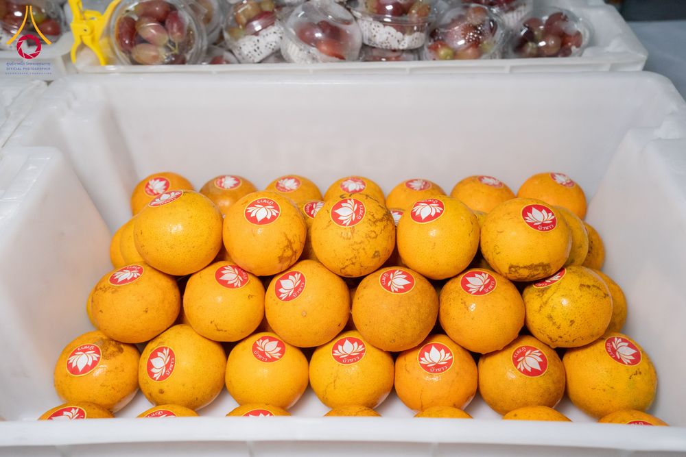 ภาพ No.289909:วันที่ 8 มกราคม พ.ศ. 2569 พิธีถวายภัตตาหารเป็นสังฆทาน แด่พระธรรมยาตรา ณ อนุสรณ์สถานคลองบางนางแท่น อ.สามพราน จ.นครปฐม ในโครงการธรรมยาตรา กตัญญูบูชา มหาปูชนียาจารย์ พระมงคลเทพมุนี(สด จนฺทสโร) พระผู้ปราบมาร อนุสรณ์สถาน 7 แห่ง ปีที่ 14