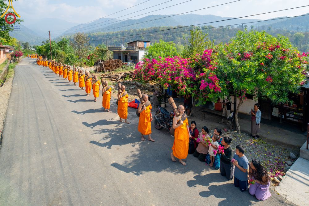 ภาพ No.315750:วันอังคารที่ 24 มีนาคม พ.ศ.2569 ธรรมยาตราจาริก ณ ป่ามหาวัน ประเทศเนปาล