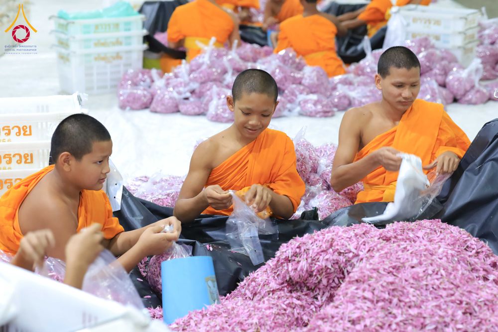 ภาพ No.303254:วันที่ 15-21 มกราคม พ.ศ.2569 ปลิดกลีบดอกเบญจทรัพย์ เพื่อโปรยต้อนรับพระธรรมยาตรา ในโครงการธรรมยาตรา กตัญญูบูชา มหาปูชนียาจารย์ พระมงคลเทพมุนี(สด จนฺทสโร) พระผู้ปราบมาร อนุสรณ์สถาน 7 แห่ง ปีที่ 14 ณ วิหารคด วัดพระธรรมกาย