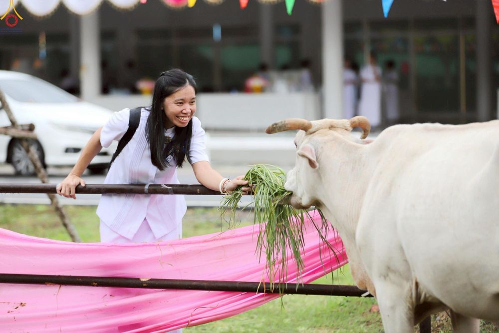 ภาพ No.241559:วันเสาร์ที่ 23 สิงหาคม พ.ศ. 2568 พิธีบุพเปตพลีนานาชาติ ปีที่ 12 ณ ศูนย์ปฏิบัติธรรมภาคใต้ อ.บางกล่ำ จ.สงขลา