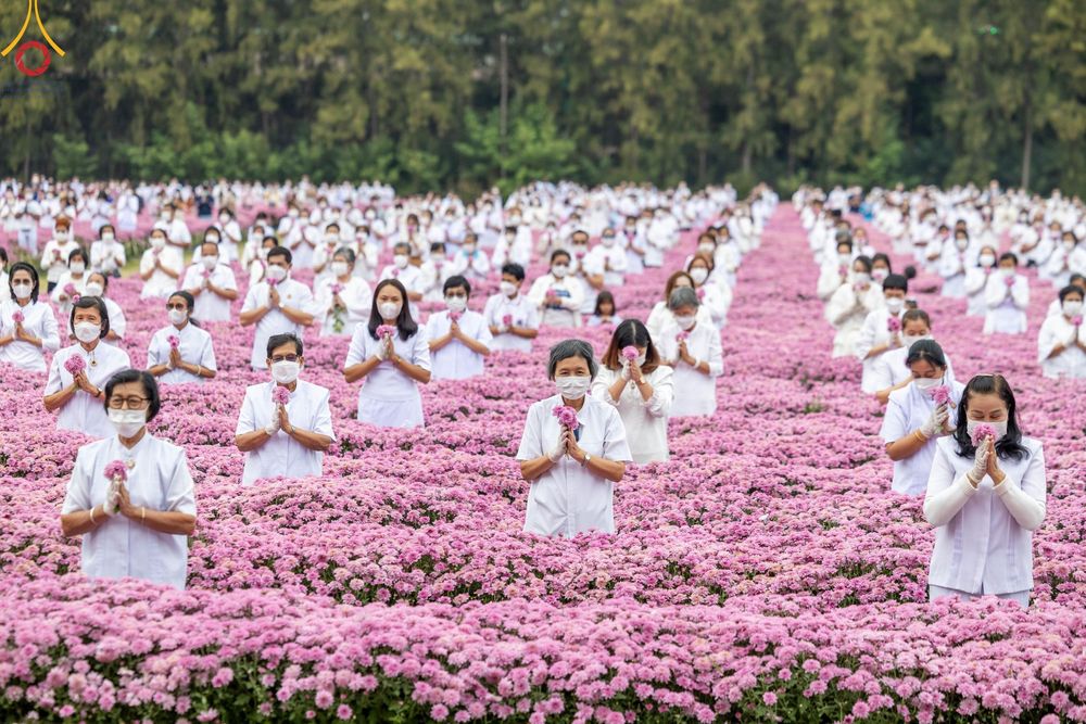 ภาพ No.104037:สาธุชนร่วมรับบุญเก็บดอกเบญจทรัพย์ ในวันอาทิตย์ที่ 24 ธันวาคม พ.ศ. 2566 ณ ทุ่งสวรรค์ตะวันฉาย บริเวณวัดพระธรรมกาย จ.ปทุมธานี