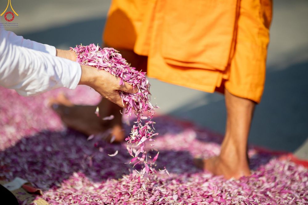 ภาพ No.201980:พิธีต้อนรับพระธรรมยาตรา ณ อนุสรณ์สถานลำดับที่ 7 สถานที่ขยายวิชชาธรรมกาย วัดพระธรรมกาย ต.คลองสาม อ.คลองหลวง จ.ปทุมธานี ในโครงการธรรมยาตรา กตัญญูบูชา มหาปูชนียาจารย์ พระมงคลเทพมุนี(สด จนฺทสโร) พระผู้ปราบมาร อนุสรณ์สถาน 7 แห่ง ปีที่ 13 วันที่ 26 มกราคม 2568
