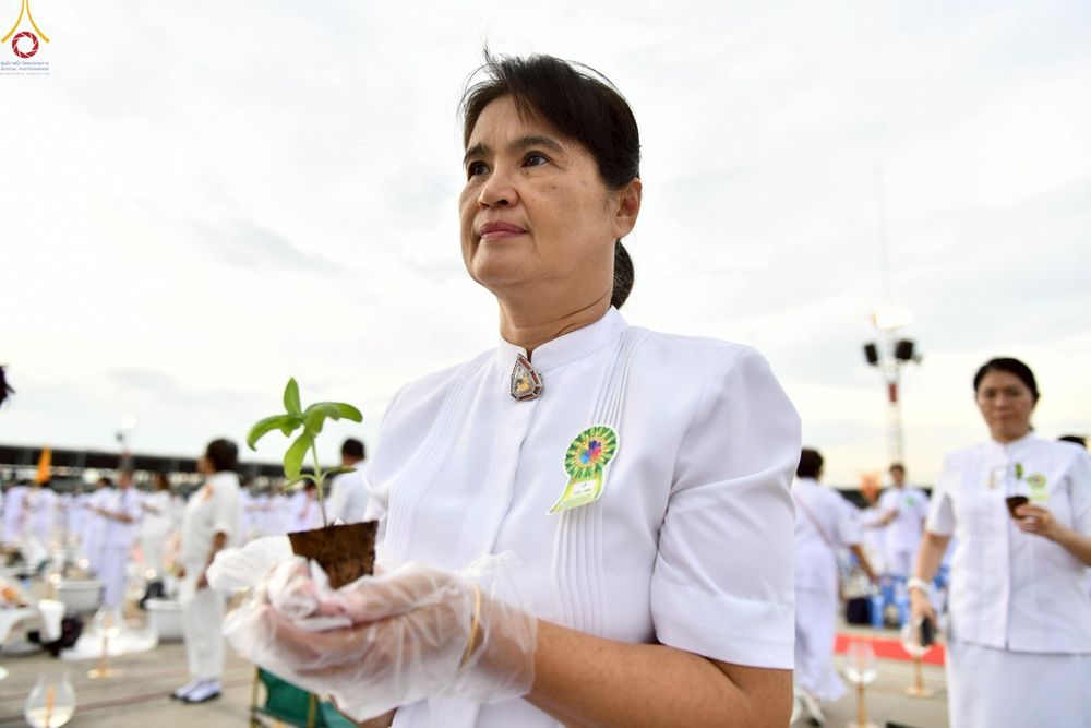 ภาพ No.252872:วันที่ 10 ตุลาคม พ.ศ. 2568 พิธีปลูกต้นทรัพย์บานชื่น ณ ลานธรรม วัดพระธรรมกาย