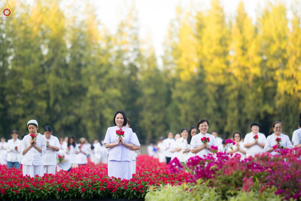 ภาพ No.280935:วันที่ 28 ธันวาคม พ.ศ.2568 กิจกรรมเก็บดอกแพงรวย ณ ทุ่งสวรรค์ตะวันฉาย วัดพระธรรมกาย