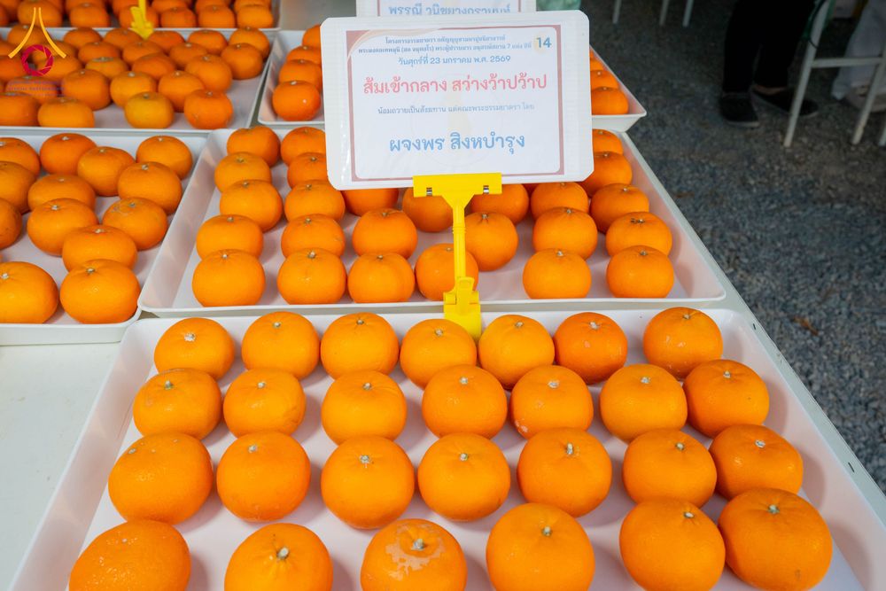 ภาพ No.301132:วันที่ 23 มกราคม พ.ศ. 2569 พิธีถวายภัตตาหารเป็นสังฆทาน แด่พระธรรมยาตรา ณ อนุสรณ์สถานบางปลา วัดบางปลา อำเภอบางเลน จังหวัดนครปฐม ในโครงการธรรมยาตรา กตัญญูบูชา มหาปูชนียาจารย์ พระมงคลเทพมุนี(สด จนฺทสโร) พระผู้ปราบมาร อนุสรณ์สถาน 7 แห่ง ปีที่ 14