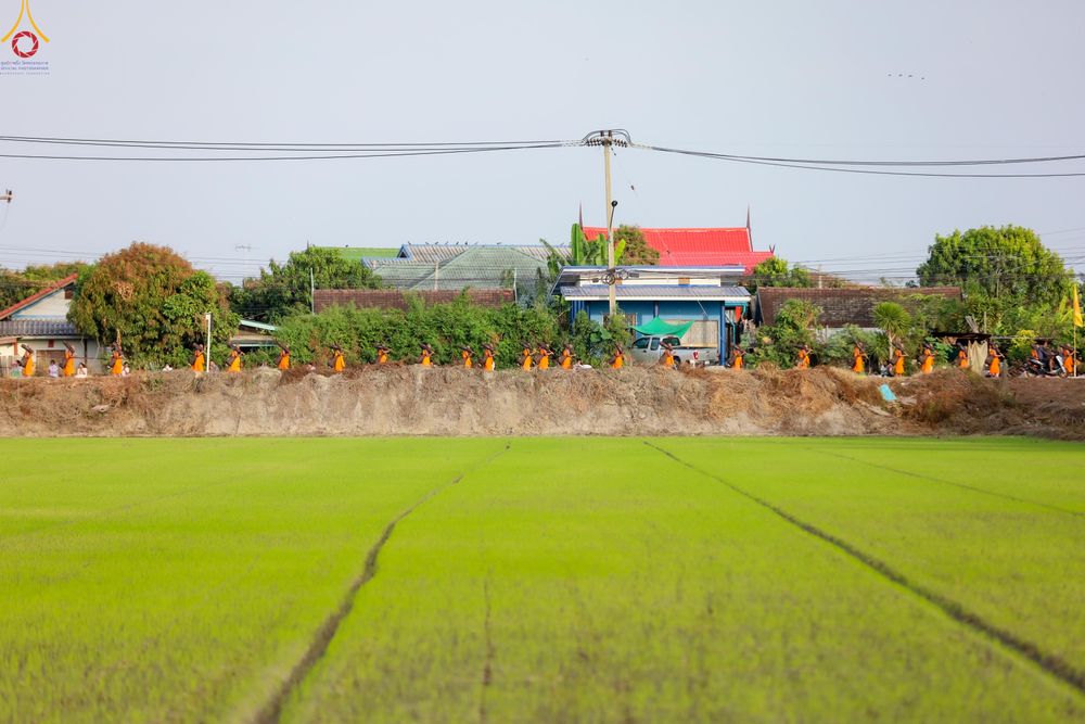 ภาพ No.287810:วันที่ 3 มกราคม พ.ศ. 2569 พิธีต้อนรับพระธรรมยาตรา ครั้งที่ 2 (ภาพชุดที่ 2) ในโครงการธรรมยาตรา กตัญญูบูชา มหาปูชนียาจารย์ พระมงคลเทพมุนี(สด จนฺทสโร) พระผู้ปราบมาร อนุสรณ์สถาน 7 แห่ง ปีที่ 14 ณ อนุสรณ์สถานมหาวิหารพระมงคลเทพมุนี (โลตัสแลนด์) อ.สองพี่น้อง จ.