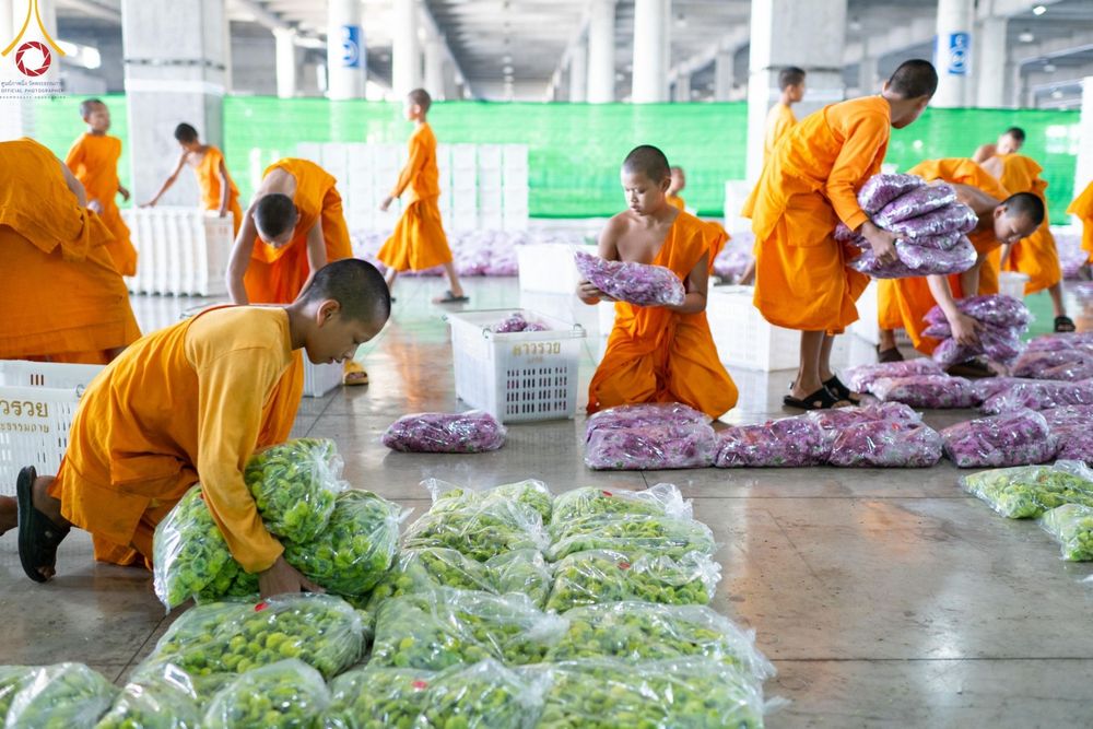 ภาพ No.187238:สาธุชน เจ้าหน้าที่ ร่วมบุญปลิดกลีบดอกไม้ เพื่อโปรยต้อนรับพระธรรมยาตรา ตั้งแต่วันที่ 26 ธันวาคม พ.ศ. 2567 ณ วิหารคด 31 วัดพระธรรมกาย