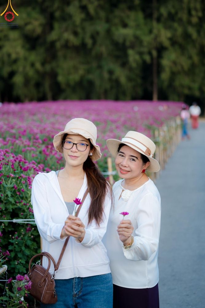 ภาพ No.186256:จิตอาสาอนุรักษ์สิ่งแวดล้อม รับบุญเก็บดอกเบญจทรัพย์ เพื่องานต้อนรับพระธรรมยาตรา ณ "ทุ่งสวรรค์ ตะวันฉาย" วัดพระธรรมกาบ วันที่ 22 ธันวาคม พ.ศ. 2567