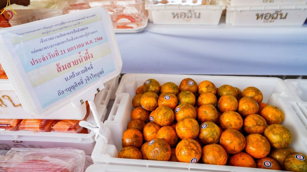 ภาพ No.73119:พิธีถวายภัตตาหารเป็นสังฆทาน แด่คณะพระธรรมยาตราฯ ในโครงการธรรมยาตรากตัญญูบูชา มหาปูชนียาจารย์ พระมงคลเทพมุนี(สด จนฺทสโร) พระผู้ปราบมาร อนุสรณ์สถาน 7 แห่ง ปีที่ 11 วันที่ 21 มกราคม พ.ศ. 2566