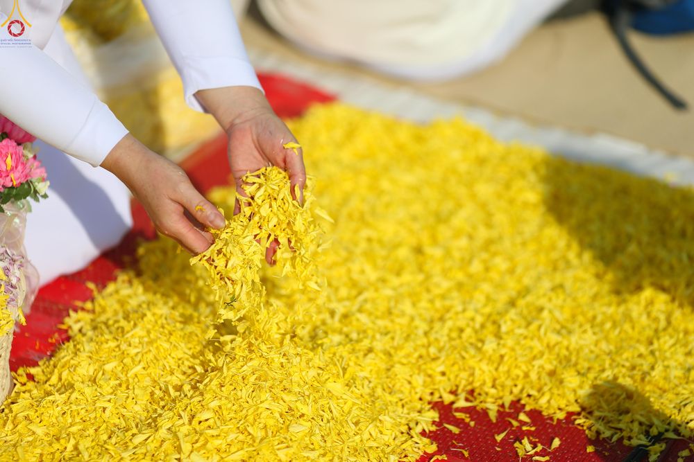 ภาพ No.289661:วันที่ 7 มกราคม พ.ศ. 2569 พิธีต้อนรับพระธรรมยาตรา ณ อนุสรณ์สถานลำดับที่ 2 สถานที่ตั้งมโนปณิธานบวชตลอดชีวิต อนุสรณ์สถานคลองบางนางแท่น อ.สามพราน จ.นครปฐม ในโครงการธรรมยาตรา กตัญญูบูชา มหาปูชนียาจารย์ พระมงคลเทพมุนี(สด จนฺทสโร) พระผู้ปราบมาร อนุสรณ์สถาน 7 แ