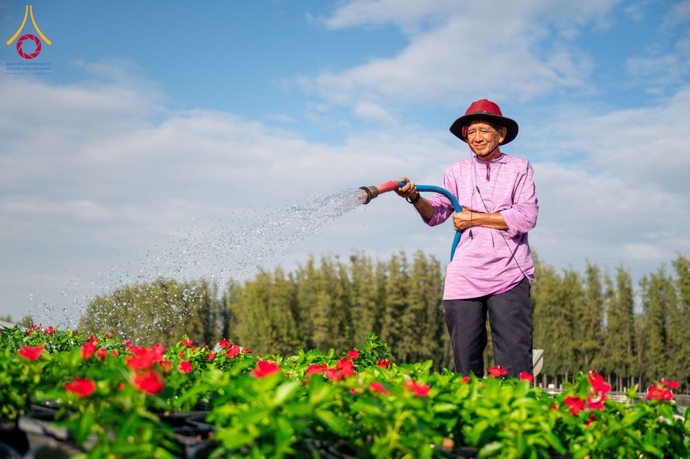 ภาพ No.285363:วันพุธที่ 10 ธันวาคม พ.ศ.2568  การเตรียมความพร้อมในโครงการธรรมยาตรา กตัญญูบูชา มหาปูชนียาจารย์ พระมงคลเทพมุนี(สด จนฺทสโร) พระผู้ปราบมาร อนุสรณ์สถาน 7 แห่ง ปีที่ 14 เก็บดอกเบญจทรัพย์ ณ วัดพระธรรมกาย