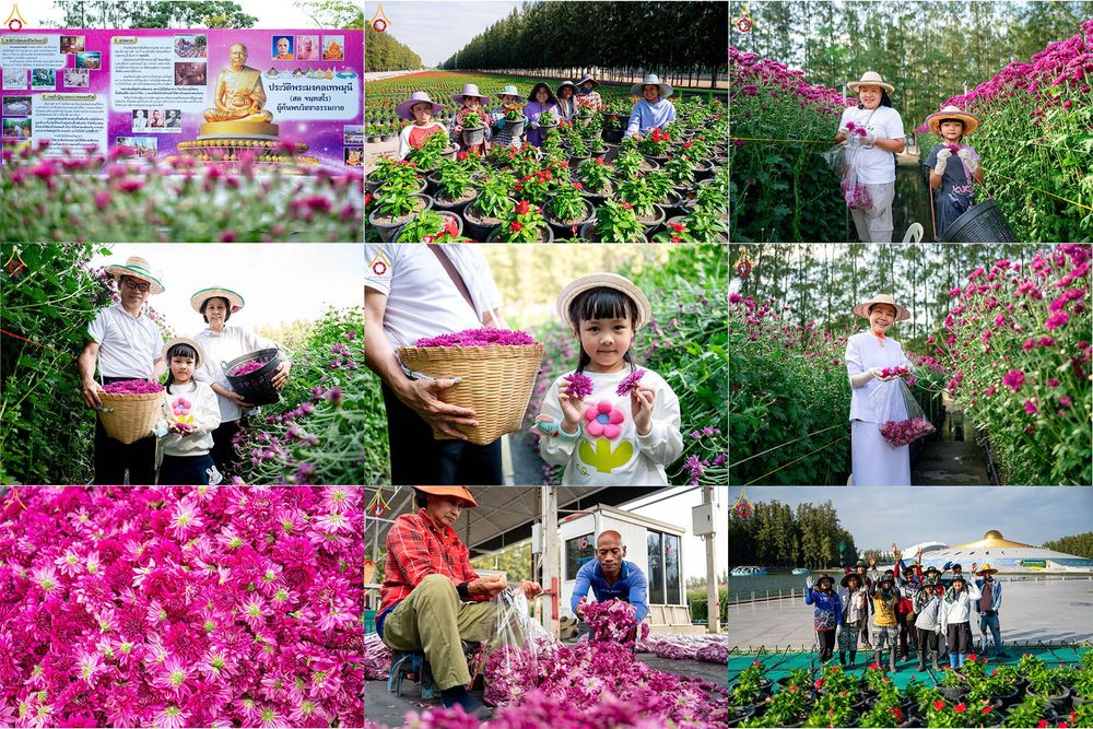 ภาพ No.285376:วันพุธที่ 10 ธันวาคม พ.ศ.2568  การเตรียมความพร้อมในโครงการธรรมยาตรา กตัญญูบูชา มหาปูชนียาจารย์ พระมงคลเทพมุนี(สด จนฺทสโร) พระผู้ปราบมาร อนุสรณ์สถาน 7 แห่ง ปีที่ 14 เก็บดอกเบญจทรัพย์ ณ วัดพระธรรมกาย