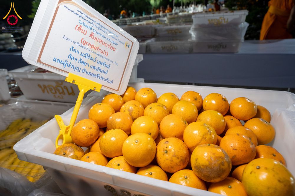 ภาพ No.292649:วันที่ 12 มกราคม พ.ศ. 2569 พิธีถวายภัตตาหารเป็นสังฆทาน แด่พระธรรมยาตรา ณ อนุสรณ์สถานมหาวิหารพระมงคลเทพมุนี (โลตัสแลนด์) อ.สองพี่น้อง จ.สุพรรณบุรี ในโครงการธรรมยาตรา กตัญญูบูชา มหาปูชนียาจารย์ พระมงคลเทพมุนี(สด จนฺทสโร) พระผู้ปราบมาร อนุสรณ์สถาน 7 แห่ง ปี