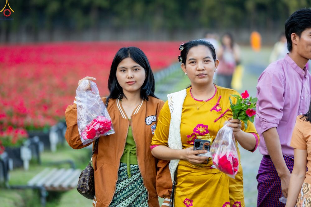 ภาพ No.281032:วันที่ 28 ธันวาคม พ.ศ.2568 กิจกรรมเก็บดอกแพงรวย ณ ทุ่งสวรรค์ตะวันฉาย วัดพระธรรมกาย