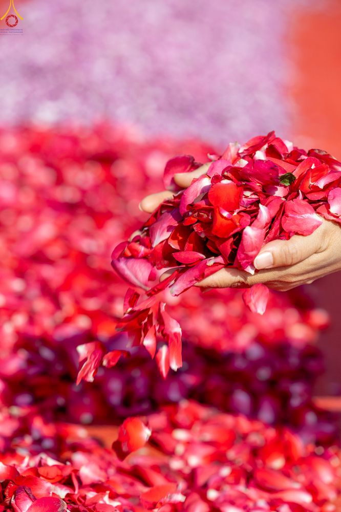 ภาพ No.290407:วันที่ 7 มกราคม พ.ศ. 2569 พิธีต้อนรับพระธรรมยาตรา ณ อนุสรณ์สถานลำดับที่ 2  สถานที่ตั้งมโนปณิธานบวชตลอดชีวิต อนุสรณ์สถานคลองบางนางแท่น (ภาพชุดที่ 2) อ.สามพราน จ.นครปฐม ในโครงการธรรมยาตรา กตัญญูบูชา มหาปูชนียาจารย์ พระมงคลเทพมุนี(สด จนฺทสโร) พระผู้ปราบมาร 