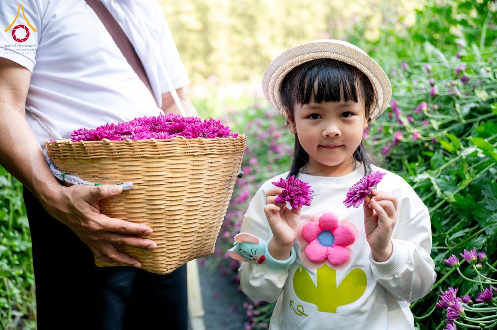 ภาพ No.285325:วันพุธที่ 10 ธันวาคม พ.ศ.2568  การเตรียมความพร้อมในโครงการธรรมยาตรา กตัญญูบูชา มหาปูชนียาจารย์ พระมงคลเทพมุนี(สด จนฺทสโร) พระผู้ปราบมาร อนุสรณ์สถาน 7 แห่ง ปีที่ 14 เก็บดอกเบญจทรัพย์ ณ วัดพระธรรมกาย