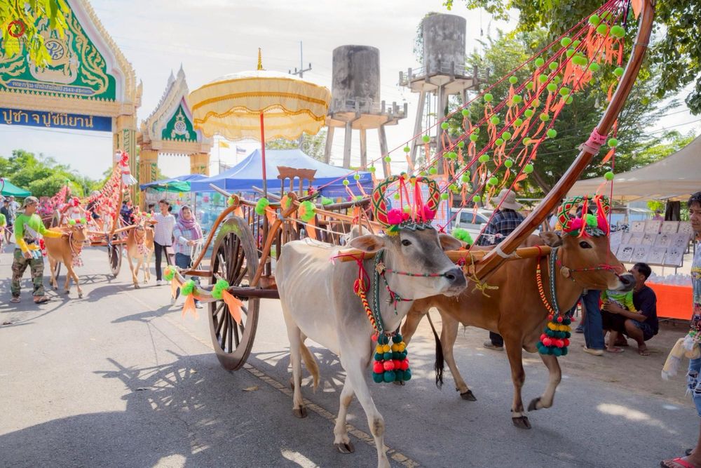 ภาพ No.268665:วันที่ 26 ตุลาคม พ.ศ. 2568 พิธีทอดกฐินสามัคคีทั่วไทย ณ วัดเขาตะพั้น อ.ท่ามะกา จ.กาญจนบุรี โดยคณะศิษยานุศิษย์ บูชาธรรม 81 ปี หลวงพ่อธัมมชโย