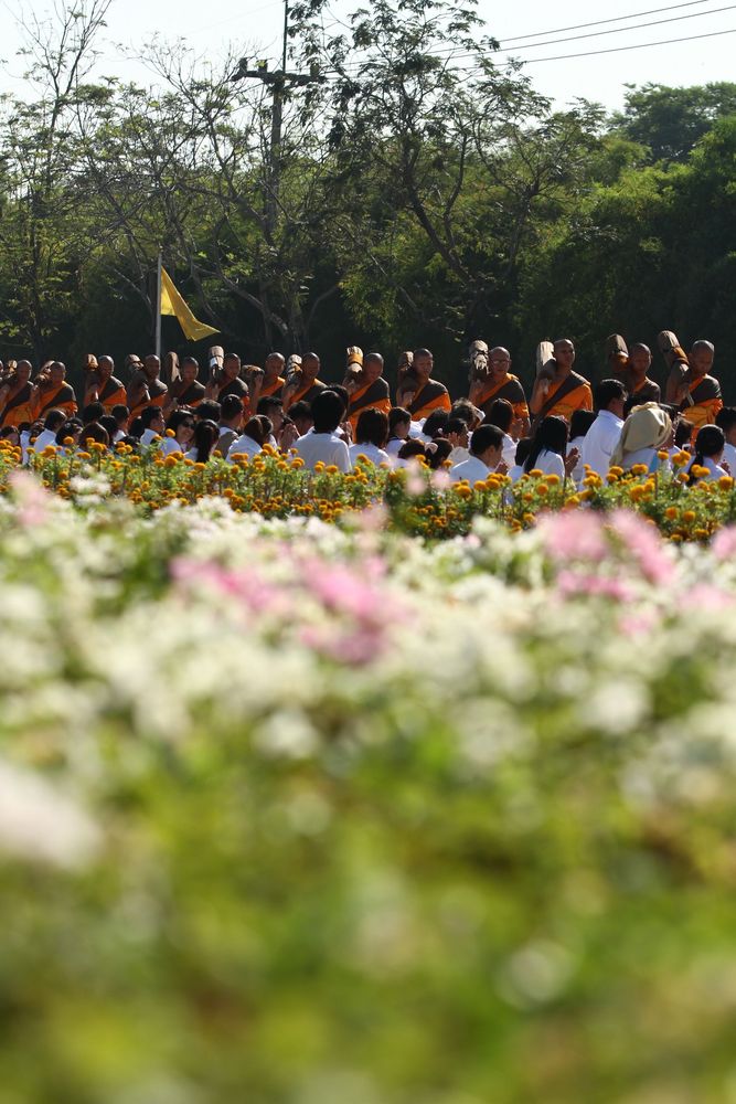 ภาพ No.5837:ประมวลภาพธุดงค์ธรรมชัย ปีที่ 2 วันที่ 2 มกราคม พ.ศ.2556