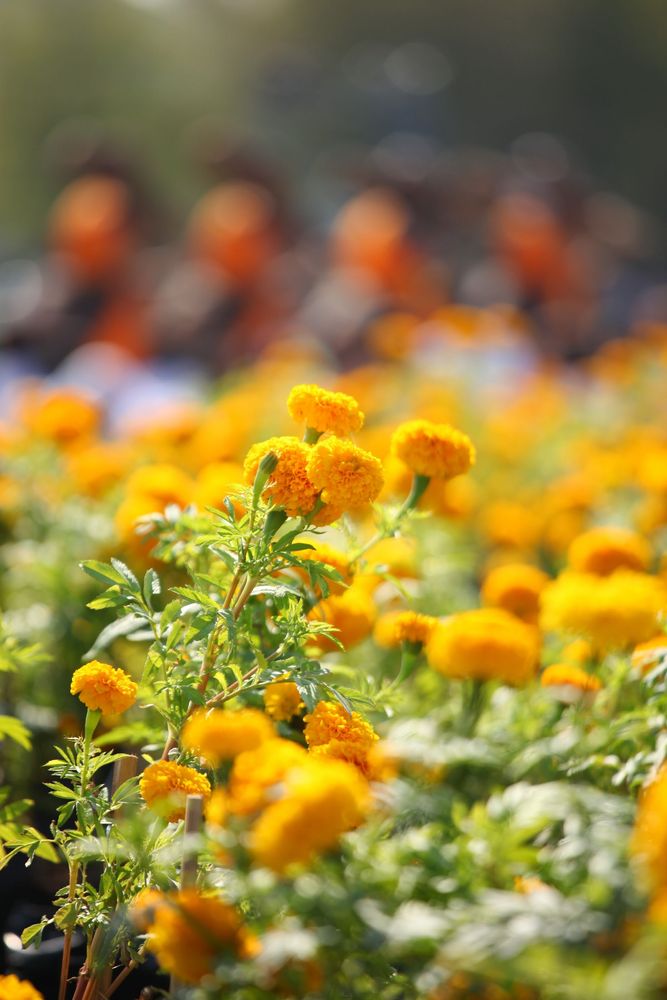 ภาพ No.5905:ประมวลภาพธุดงค์ธรรมชัย ปีที่ 2 วันที่ 2 มกราคม พ.ศ.2556