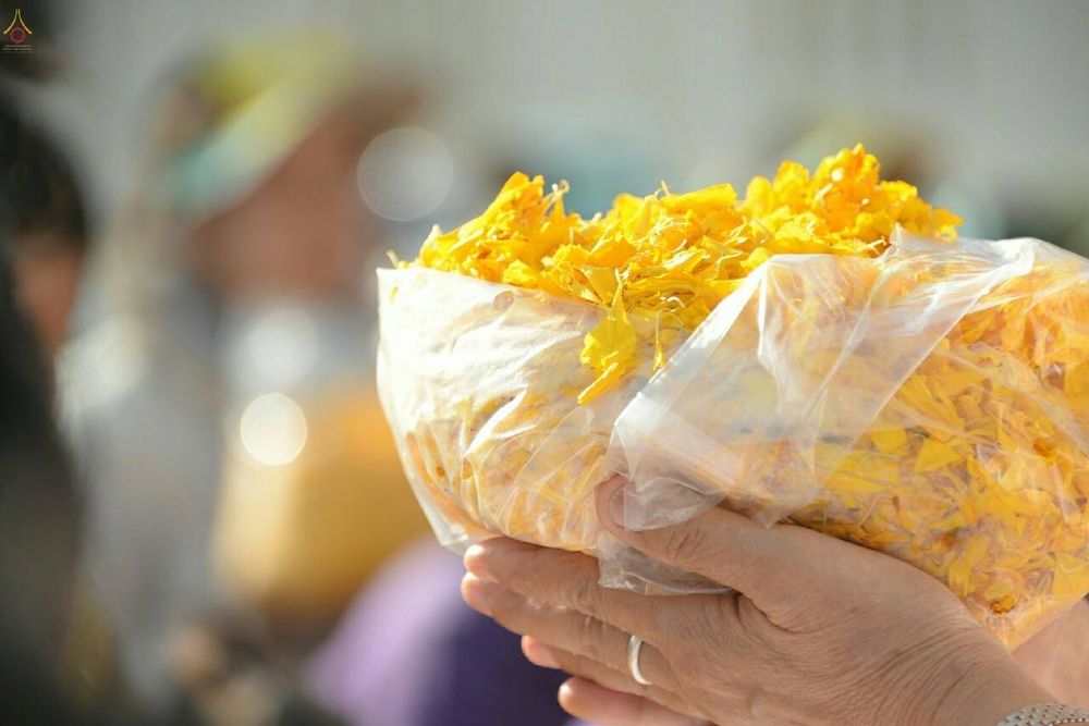 ภาพ No.21025:ธรรมยาตราฯ ปีที่ 5 วันจันทร์ที่ 11 มกราคม พ.ศ. 2559