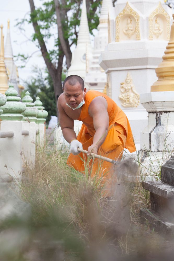 ภาพ No.22886:ธรรมยาตราฯ ปีที่ 5 วันพฤหัสบดีที่ 21 มกราคม พ.ศ. 2559