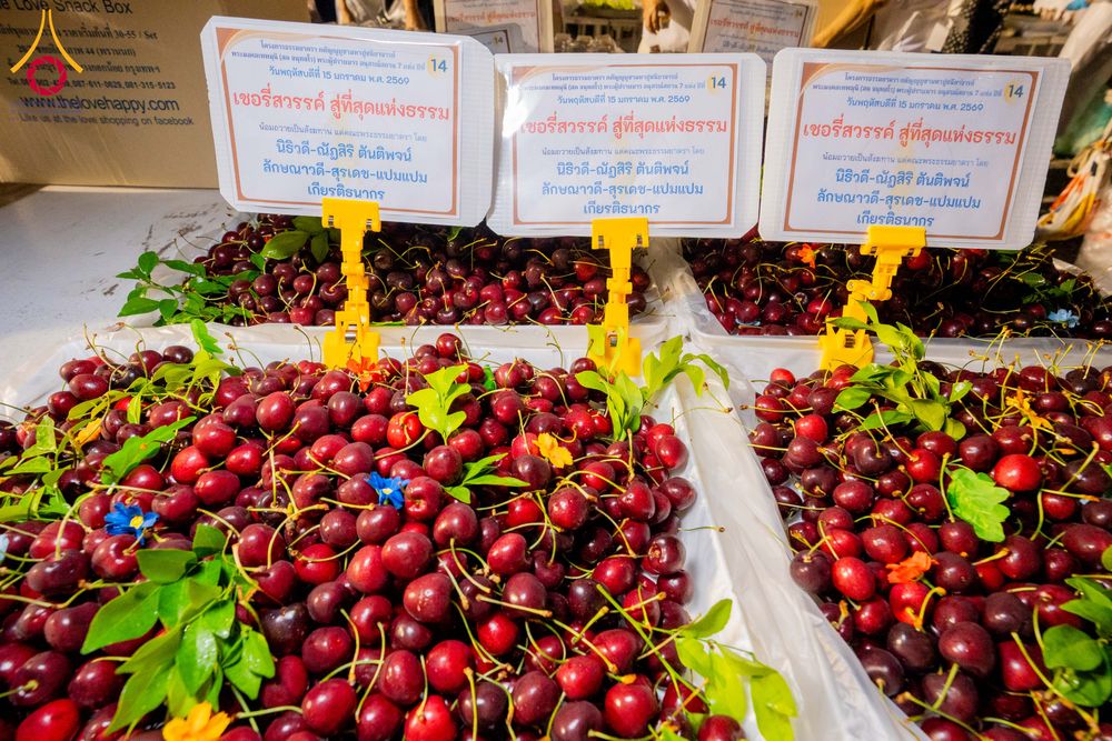 ภาพ No.294859:วันที่ 15 มกราคม พ.ศ. 2569 พิธีถวายภัตตาหารเป็นสังฆทาน แด่พระธรรมยาตรา ณ วัดโบสถ์บน ต.บางคูเวียง จ.นนทบุรี อนุสรณ์สถานลำดับที่ 4 สถานที่เกิดด้วยกายธรรม ในโครงการธรรมยาตรา กตัญญูบูชา มหาปูชนียาจารย์ พระมงคลเทพมุนี(สด จนฺทสโร) พระผู้ปราบมาร อนุสรณ์สถาน 7 แ