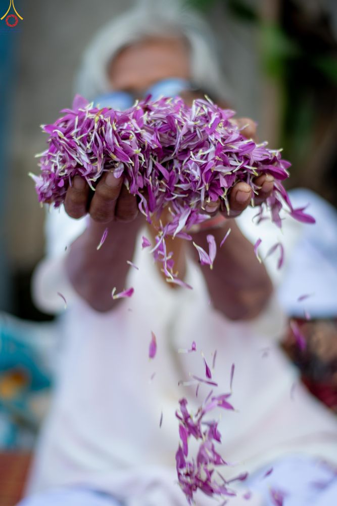 ภาพ No.305751:วันที่ 25 มกราคม พ.ศ. 2569 พิธีต้อนรับพระธรรมยาตรา วัดพระธรรมกาย(ภาพชุดที่ 3) ในโครงการธรรมยาตรา กตัญญูบูชา มหาปูชนียาจารย์ พระมงคลเทพมุนี(สด จนฺทสโร) พระผู้ปราบมาร อนุสรณ์สถาน 7 แห่ง ปีที่ 14
