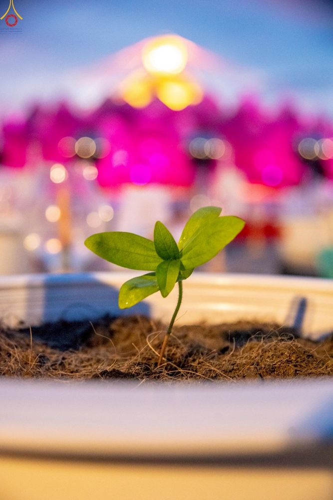 ภาพ No.253064:วันที่ 10 ตุลาคม พ.ศ. 2568 พิธีปลูกต้นทรัพย์บานชื่น ณ ลานธรรม วัดพระธรรมกาย