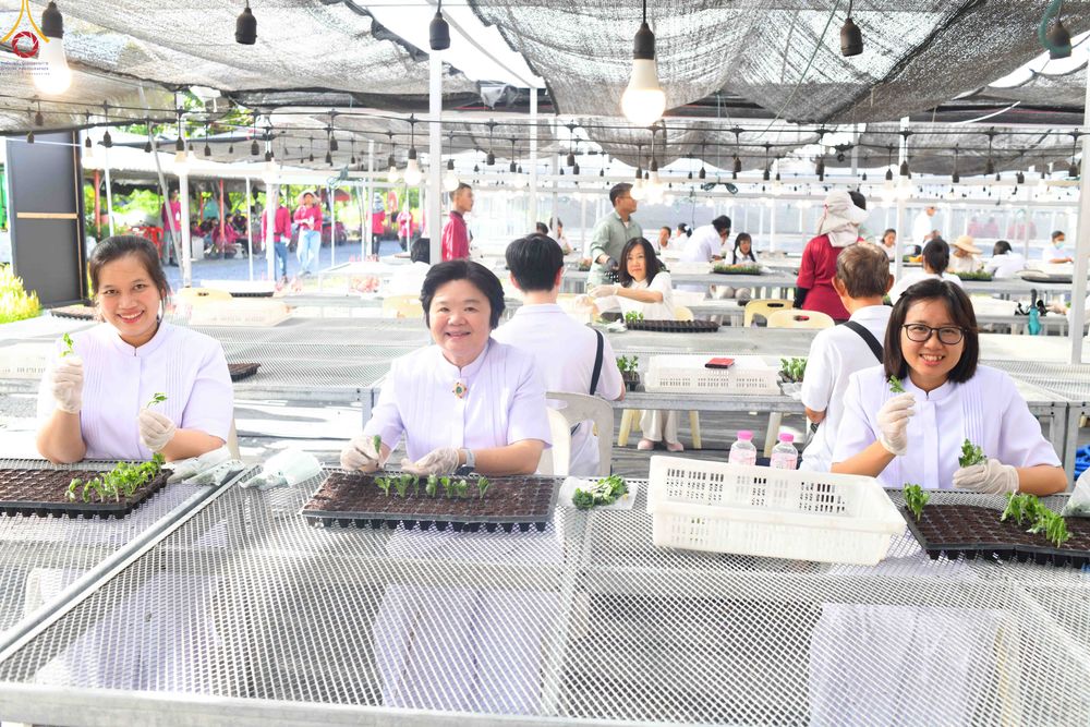ภาพ No.343976:วันที่ 16 สิงหาคม พ.ศ.2569 การปักชำต้นกล้าเบญจทรัพย์ เพื่อเตรียมดอกไม้บูชาธรรม พระเดชพระคุณหลวงปู่ และโปรยต้อนรับพระธรรมยาตรา ปีที่ 15 ณ โรงเรือนปักชำประตู 8 วัดพระธรรมกาย