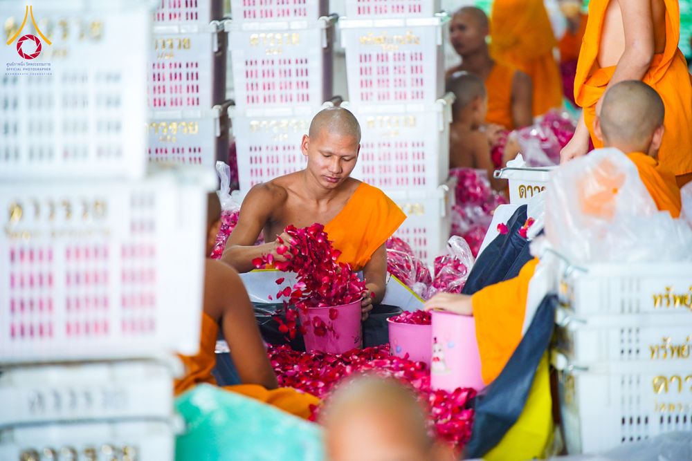 ภาพ No.279498:วันที่ 19-26 ธันวาคม พ.ศ. 2568 และ วันที่ 1 มกราคม พ.ศ.2569 รับบุญปลิดกลีบดอกไม้ เพื่อโปรยต้อนรับพระธรรมยาตรา