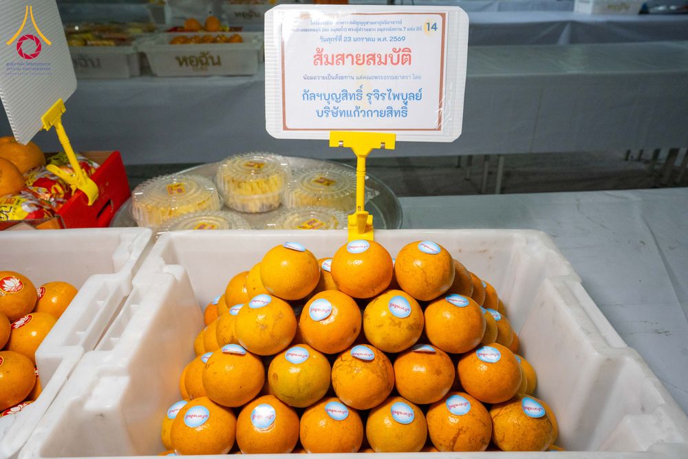 ภาพ No.301114:วันที่ 23 มกราคม พ.ศ. 2569 พิธีถวายภัตตาหารเป็นสังฆทาน แด่พระธรรมยาตรา ณ อนุสรณ์สถานบางปลา วัดบางปลา อำเภอบางเลน จังหวัดนครปฐม ในโครงการธรรมยาตรา กตัญญูบูชา มหาปูชนียาจารย์ พระมงคลเทพมุนี(สด จนฺทสโร) พระผู้ปราบมาร อนุสรณ์สถาน 7 แห่ง ปีที่ 14