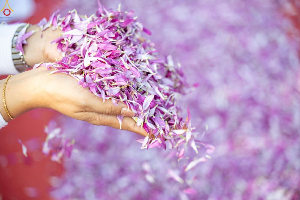 ภาพ No.299346:วันที่ 18 มกราคม พ.ศ. 2569 พิธีต้อนรับพระธรรมยาตรา ณ อนุสรณ์สถานลำดับที่ 5 สถานที่เผยแผ่วิชชาธรรมกายครั้งแรก อนุสรณ์สถานบางปลา วัดบางปลา อำเภอบางเลน จังหวัดนครปฐม ในโครงการธรรมยาตรา กตัญญูบูชา มหาปูชนียาจารย์ พระมงคลเทพมุนี(สด จนฺทสโร) พระผู้ปราบมาร อนุส