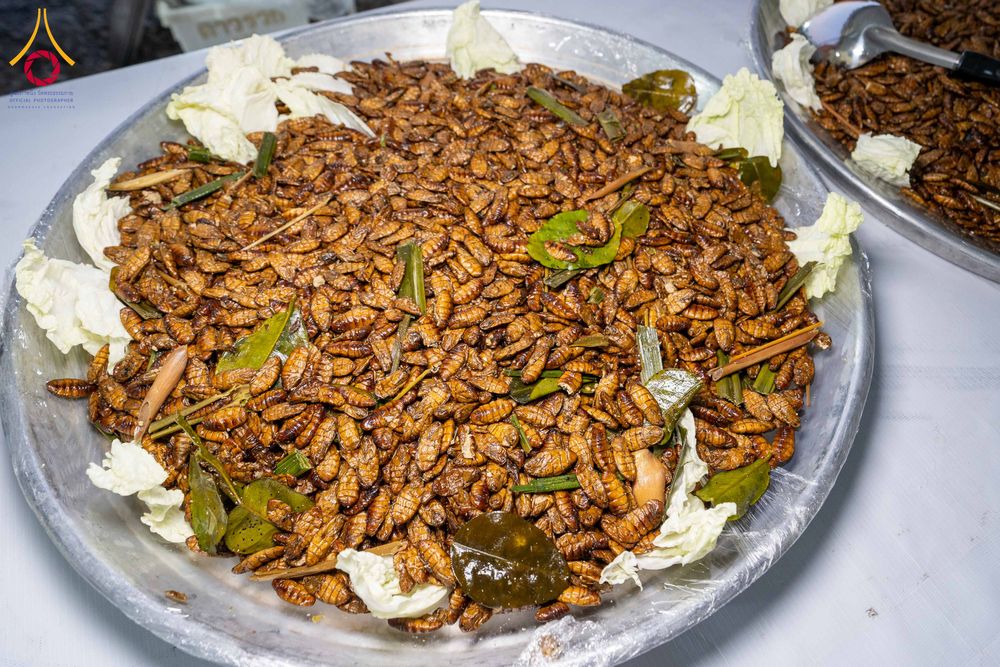 ภาพ No.299262:วันที่ 21 มกราคม พ.ศ. 2569 พิธีถวายภัตตาหารเป็นสังฆทาน แด่พระธรรมยาตรา ณ อนุสรณ์สถานบางปลา วัดบางปลา อำเภอบางเลน จังหวัดนครปฐม ในโครงการธรรมยาตรา กตัญญูบูชา มหาปูชนียาจารย์ พระมงคลเทพมุนี(สด จนฺทสโร) พระผู้ปราบมาร อนุสรณ์สถาน 7 แห่ง ปีที่ 14