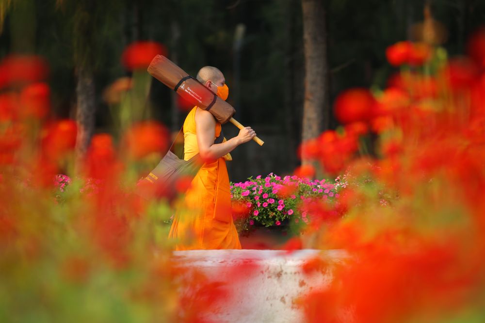 ภาพ No.35718:โครงการธรรมยาตรา เส้นทางพระผู้ปราบมาร ปีที่ 9 ณ วัดพระธรรมกาย